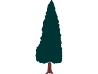 Sticker Custom Preview Image #132944 Trees Leaves Trees Tree036