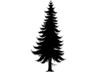 Sticker Custom Preview Image #132954 Trees Leaves Trees Tree046
