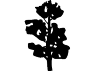 Sticker Custom Preview Image #132957 Trees Leaves Trees Tree049