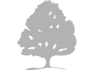 Sticker Custom Preview Image #132965 Trees Leaves Trees Tree057