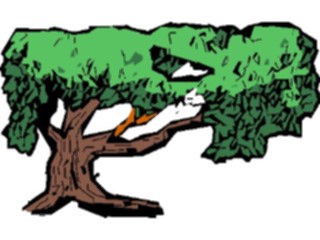 Sticker Custom Preview Image #132969 Trees Leaves Trees Tree061