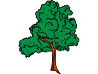 Sticker Custom Preview Image #132980 Trees Leaves Trees Tree072