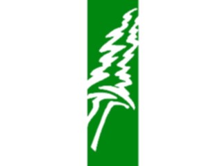 Sticker Custom Preview Image #132989 Trees Leaves Trees Tree081