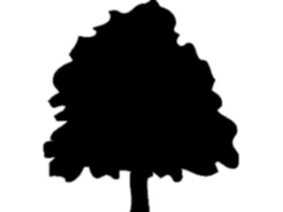 Sticker Custom Preview Image #132996 Trees Leaves Trees Tree088