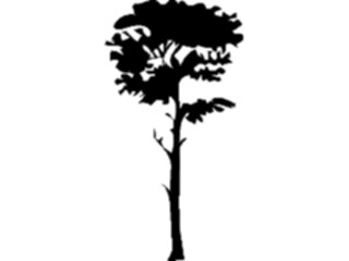 Sticker Custom Preview Image #132999 Trees Leaves Trees Tree091