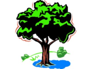 Sticker Custom Preview Image #133003 Trees Leaves Trees Tree095
