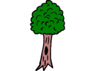 Sticker Custom Preview Image #133020 Trees Leaves Trees Tree112