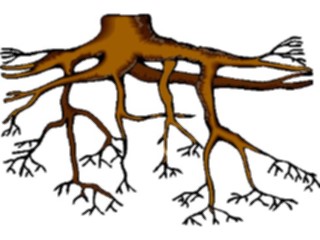 Sticker Custom Preview Image #133169 Trees Leaves Trees Tree Roots