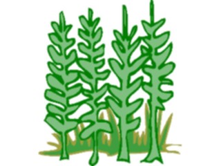 Sticker Custom Preview Image #133218 Trees Leaves Trees Trees07