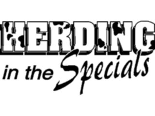 Sticker Custom Preview Image #133665 Western Rodeo Herdinginthe Specials