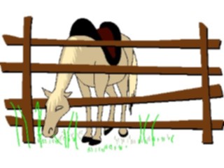 Sticker Custom Preview Image #133667 Western Rodeo Horse Eating Grass