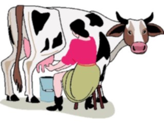Sticker Custom Preview Image #133694 Western Rodeo Milkinga Cow