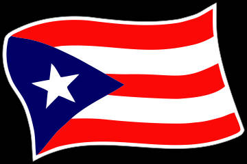 Customize this Boricua_WAVE Flag Decal