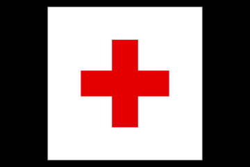 Customize this Medic_Doctor Flag Decal