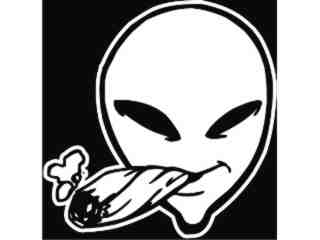  Alien Blunt_ I N V_ G D G Decal Proportional