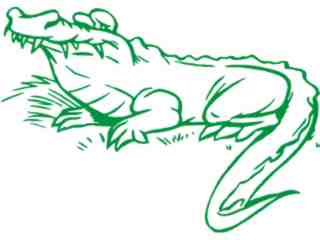  Alligator Waiting Decal Proportional