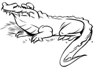  Alligator_ 0 4 4_ V A 1 Decal Proportional