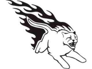  Animal Flames Cougar_ 0 9 6b_ A F 1 Decal Proportional
