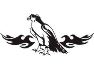  Animal Flames Falcon_ 0 6 9b_ A F 1 Decal Proportional