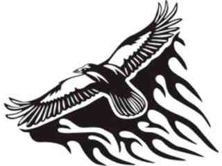  Animal Flames Falcon_ 0 9 1b_ A F 1 Decal Proportional