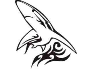  Animal Flames Shark_ 0 3 3b_ A F 1 Decal Proportional