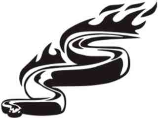  Animal Flames Snake_ 0 6 4b_ A F 1 Decal Proportional