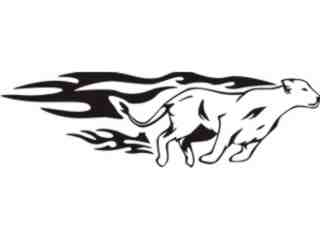  Animal Flames_ 0 8 4b Cougar Panther_ A F 1 Decal Proportional