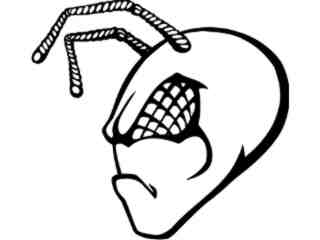  Ant Bug Head_ M B 1 Decal Proportional