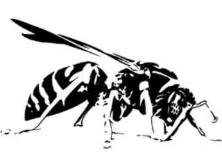  Ant_ M B 1 Decal Proportional