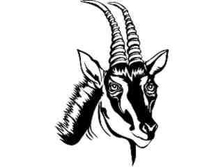  Antelope_ 1 4 6_ V A 1 Decal Proportional