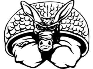  Armadillo Hunch_ M B 1 Decal Proportional