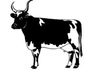  Ayshire Cow_ 1 3 4_ V A 1 Decal Proportional