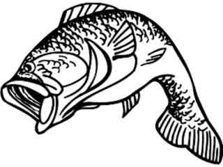  Bass Wide Mouth Decal Proportional