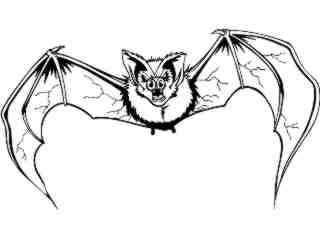  Bat Fly_ M B 1 Decal Proportional