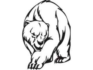  Bear Animal Wild_ 0 3 9a Decal Proportional