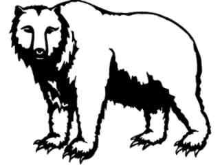  Bear_ 1 3 8_ V A 1 Decal Proportional