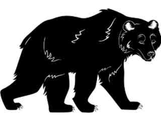  Bear_ 1 4 5_ V A 1 Decal Proportional