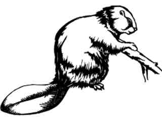  Beaver_ 1 3 8_ V A 1 Decal Proportional