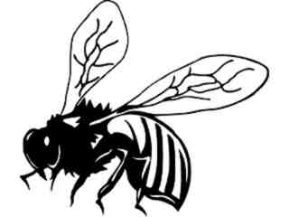  Bee Wasp Real Decal Proportional