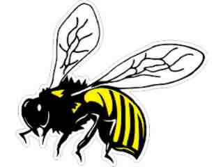  Bee Wasp Real_ C L 1 Decal Proportional