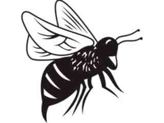  Bee_ 0 8 4 Decal Proportional