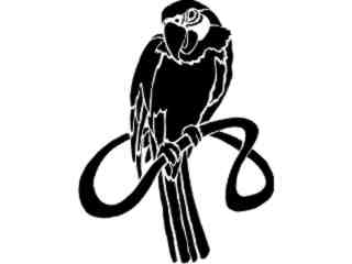  Bird Parrot Twist Decal Proportional