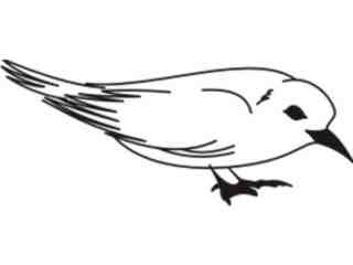  Birds Misc_ 1 7 6 Decal Proportional