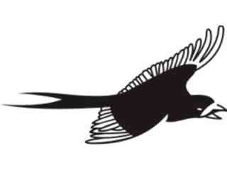  Birds Misc_ 1 7 9 Decal Proportional