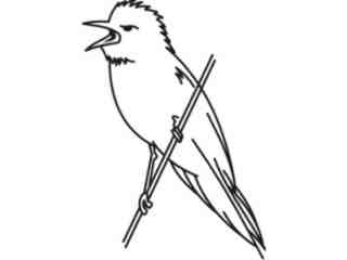  Birds Misc_ 1 8 0 Decal Proportional
