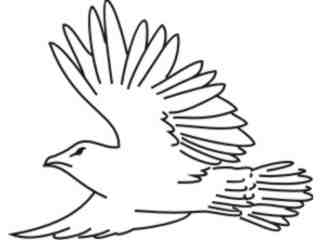  Birds Misc_ 1 8 3 Decal Proportional