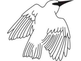  Birds Misc_ 1 8 9 Decal Proportional