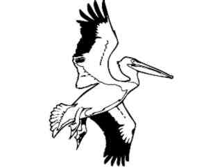 Birds_ American White Pelican T G_ P A 1 Decal Proportional