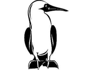  Birds_ Blue Footed Boobie_ P A 1 Decal Proportional