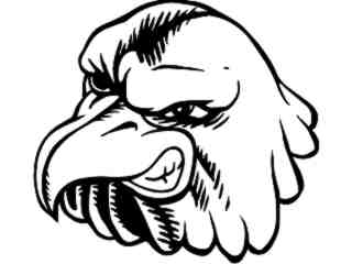  Birds_ Eagle Head M G_ P A 1 Decal Proportional